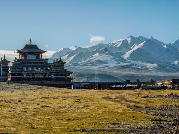 Lhasa Doesn’t Rush for Anyone photo