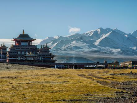 Lhasa Doesn’t Rush for Anyone photo