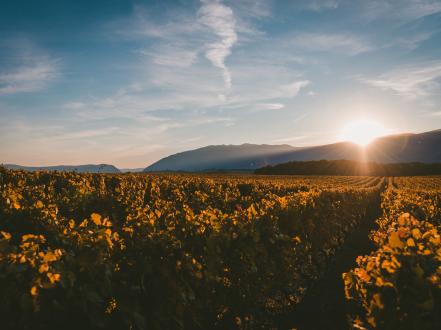 Tuscany Isn’t a Destination – It’s a Mood You Move Through Slowly photo