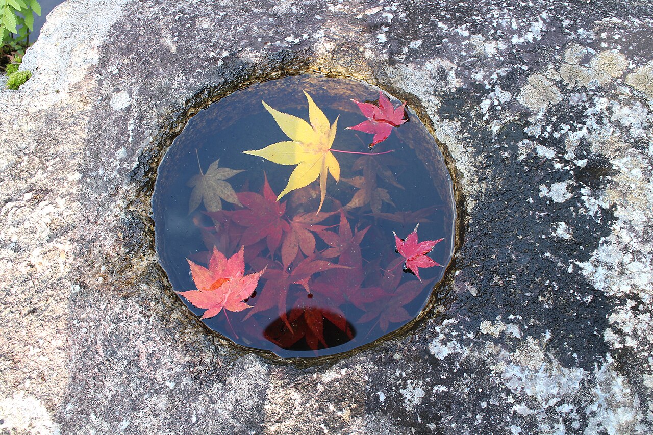 Red, orange and yellow maple leaves floating in a round water-filled hollow in a stone photo_0 Red, orange and yellow maple leaves floating in a round water-filled hollow in a stone photo_0